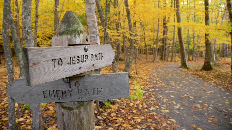 Acadia National Park que inclui florestas e sinalização