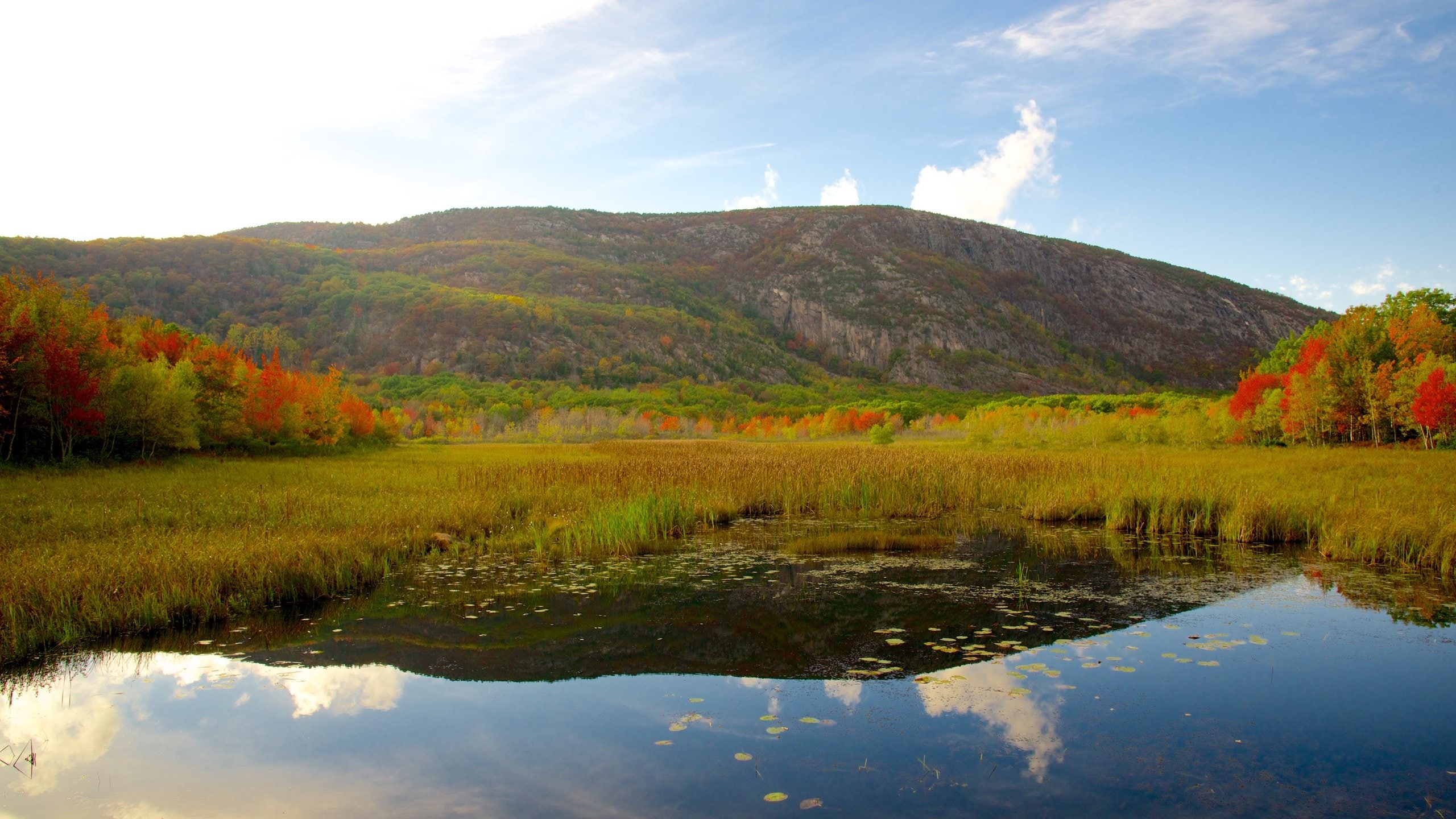 Exploring America's Wilderness: Top U.S. National Parks to Visit - Acadia National Park