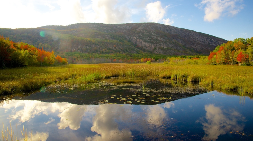 Acadia National Park which includes mountains, a lake or waterhole and wetlands