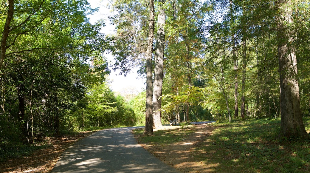 Freedom Park which includes a park