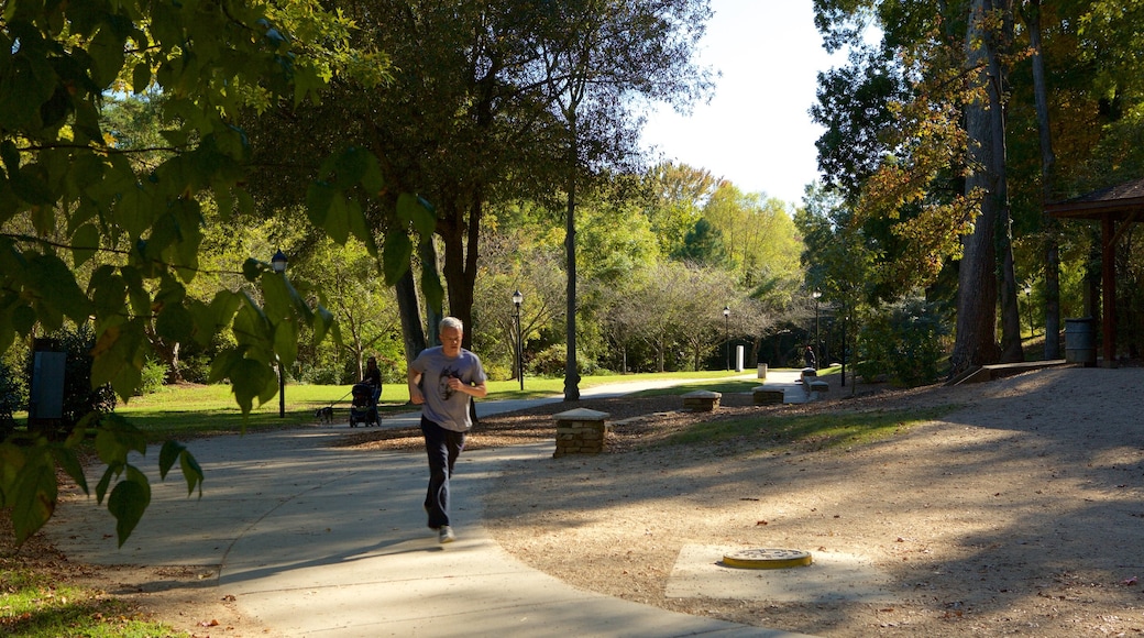 Parque Freedom mostrando un jardín y también un hombre