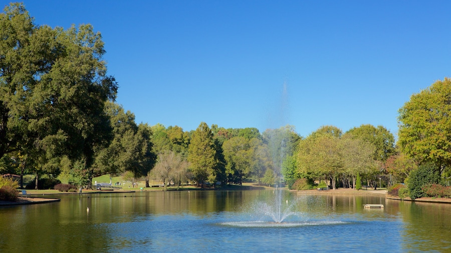 Scenic view of Freedom Park's lake surrounded by greenery in Charlotte, North Carolina.