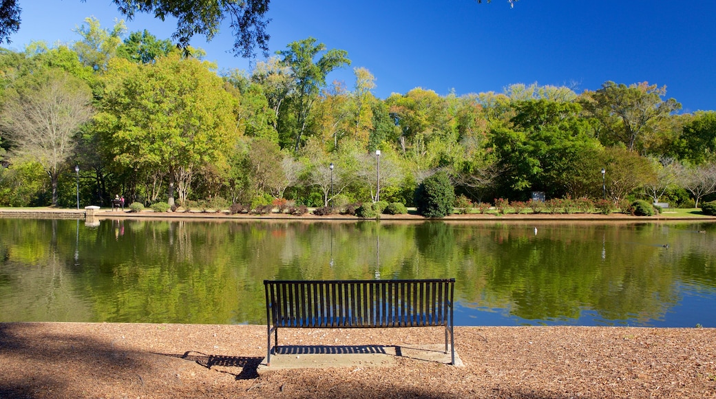 Freedom Park which includes a pond and a park