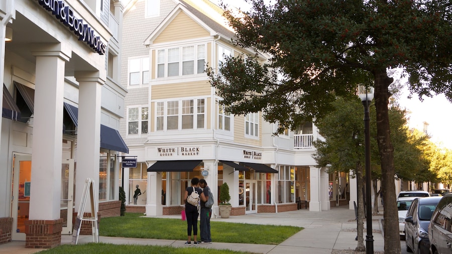 Birkdale Village featuring a small town or village as well as a small group of people
