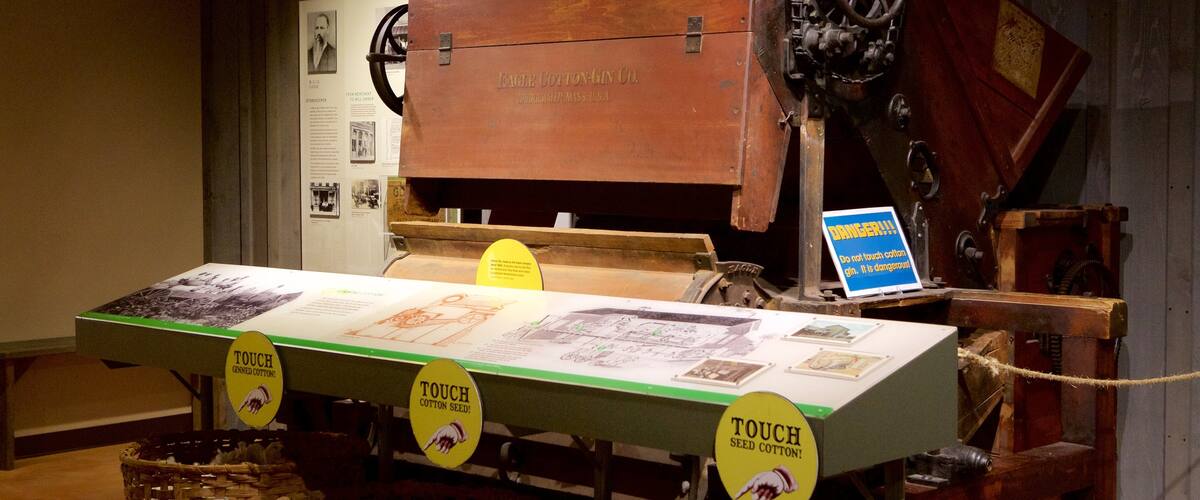 Levine Museum of the New South which includes interior views