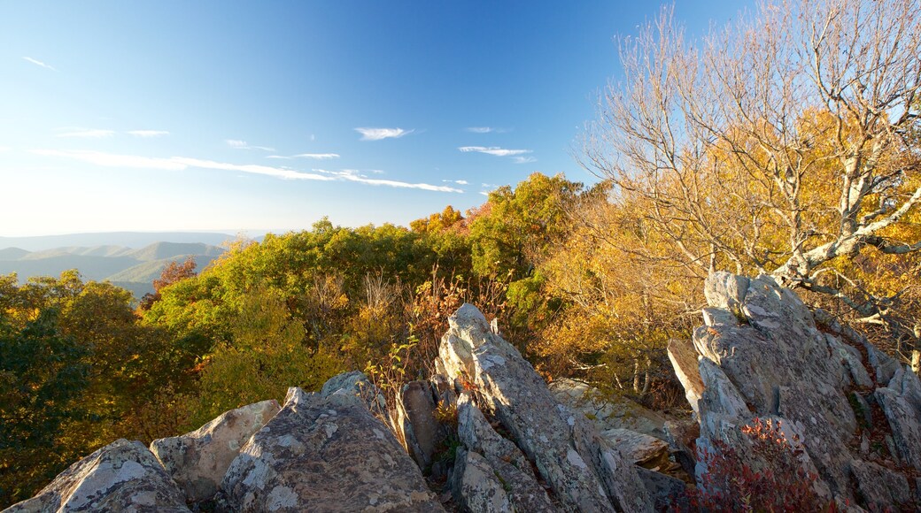 Shenandoah National Park which includes landscape views and tranquil scenes