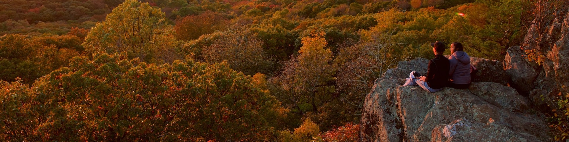 Shenandoah National Park which includes mountains, tranquil scenes and forests
