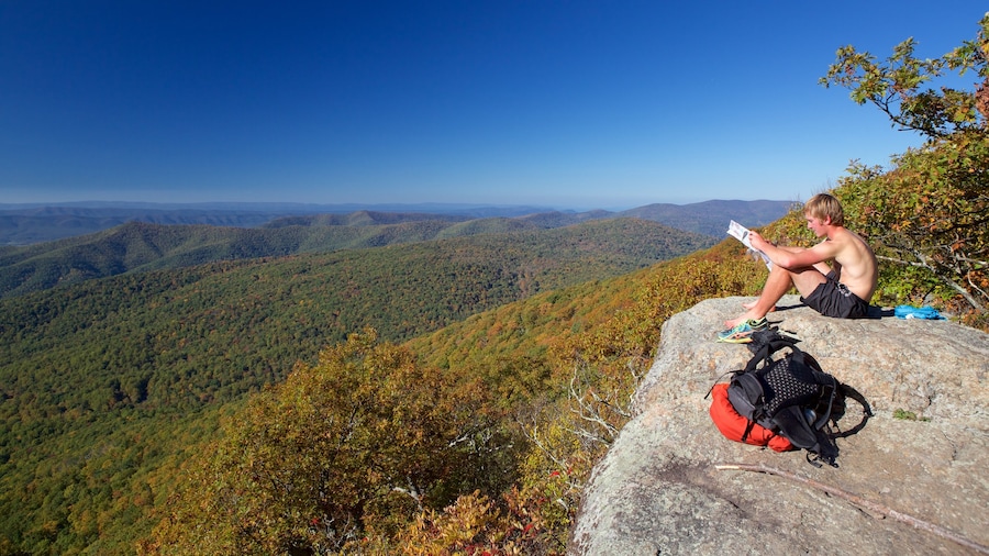 Parco Nazionale di Shenandoah che include paesaggi rilassanti, foresta e montagna