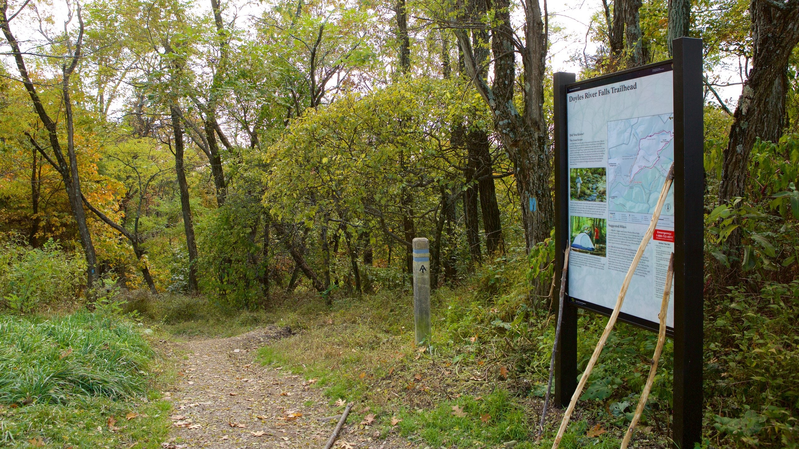 Doyles River Falls showing forest scenes and signage