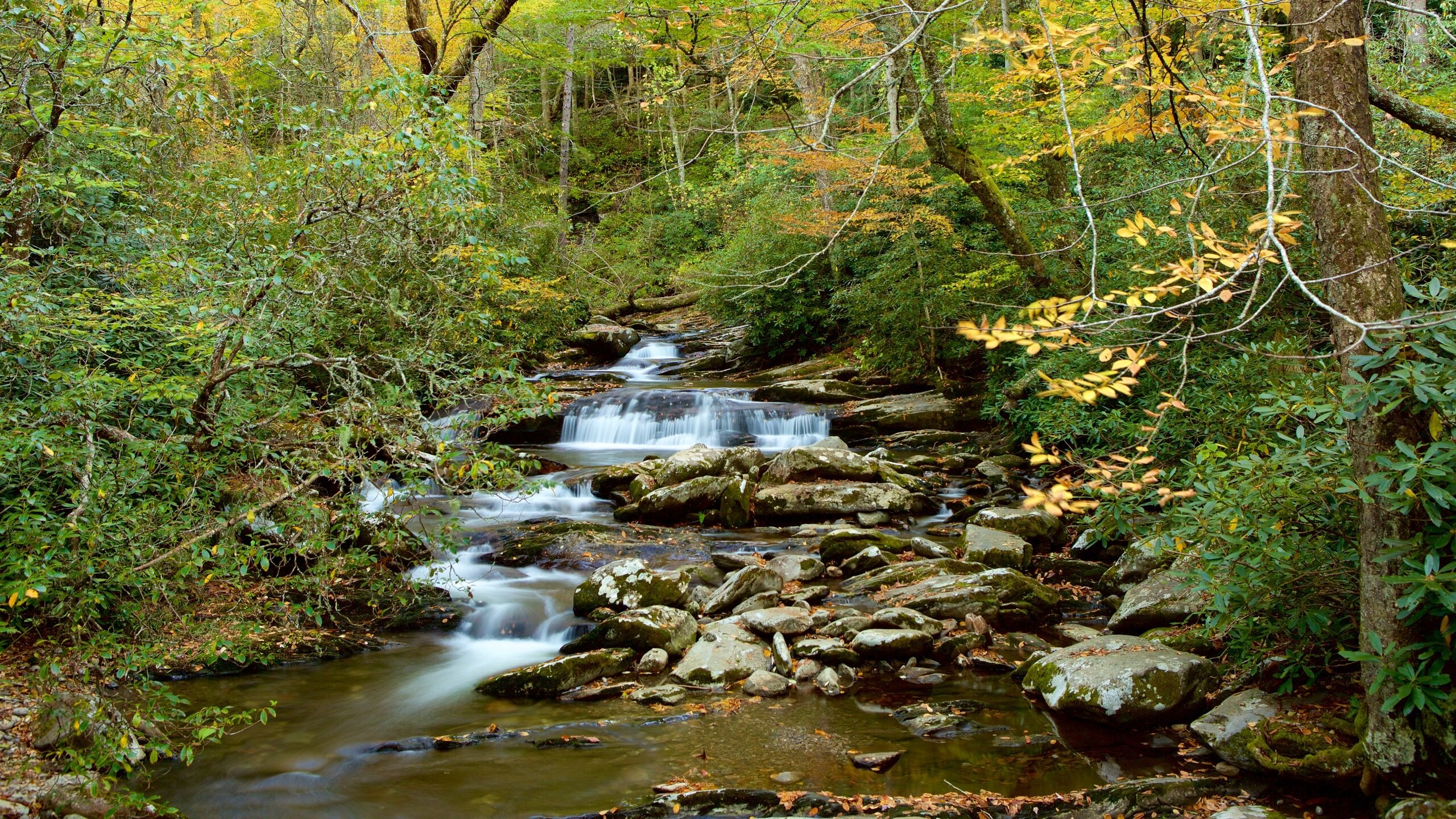 Chimney Tops Tours - Book Now | Expedia, image size:2560x1440