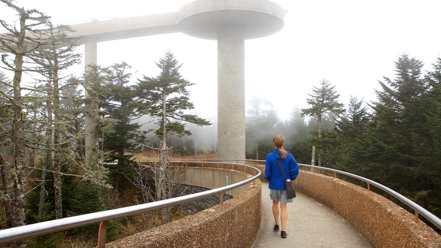 Observation tower at Clingmans Dome surrounded by lush forest in the Smoky Mountains.