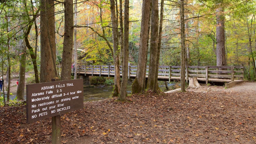 Great Smoky Mountains National Park which includes a river or creek, signage and forest scenes