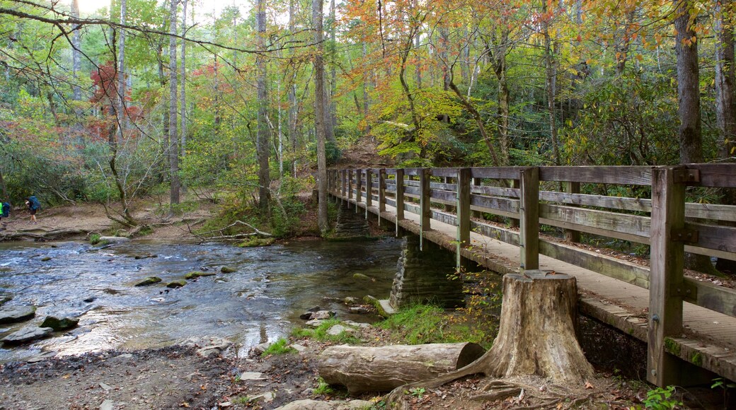 Great Smoky Mountains National Park which includes a bridge, a river or creek and forests