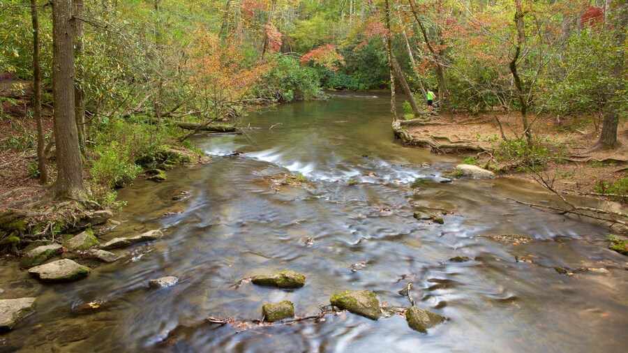 Great Smoky Mountains National Park som inkluderar skogar och en Ă„ eller flod