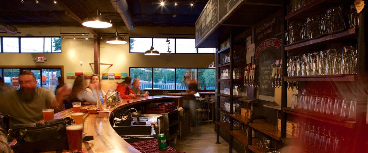 夏洛特 其中包括 內部景觀 以及 一小群人