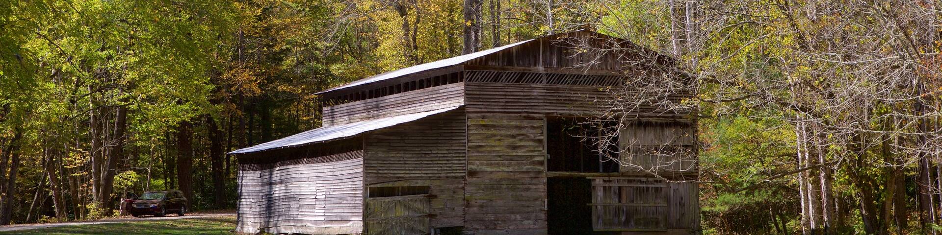 Charlotte featuring forest scenes