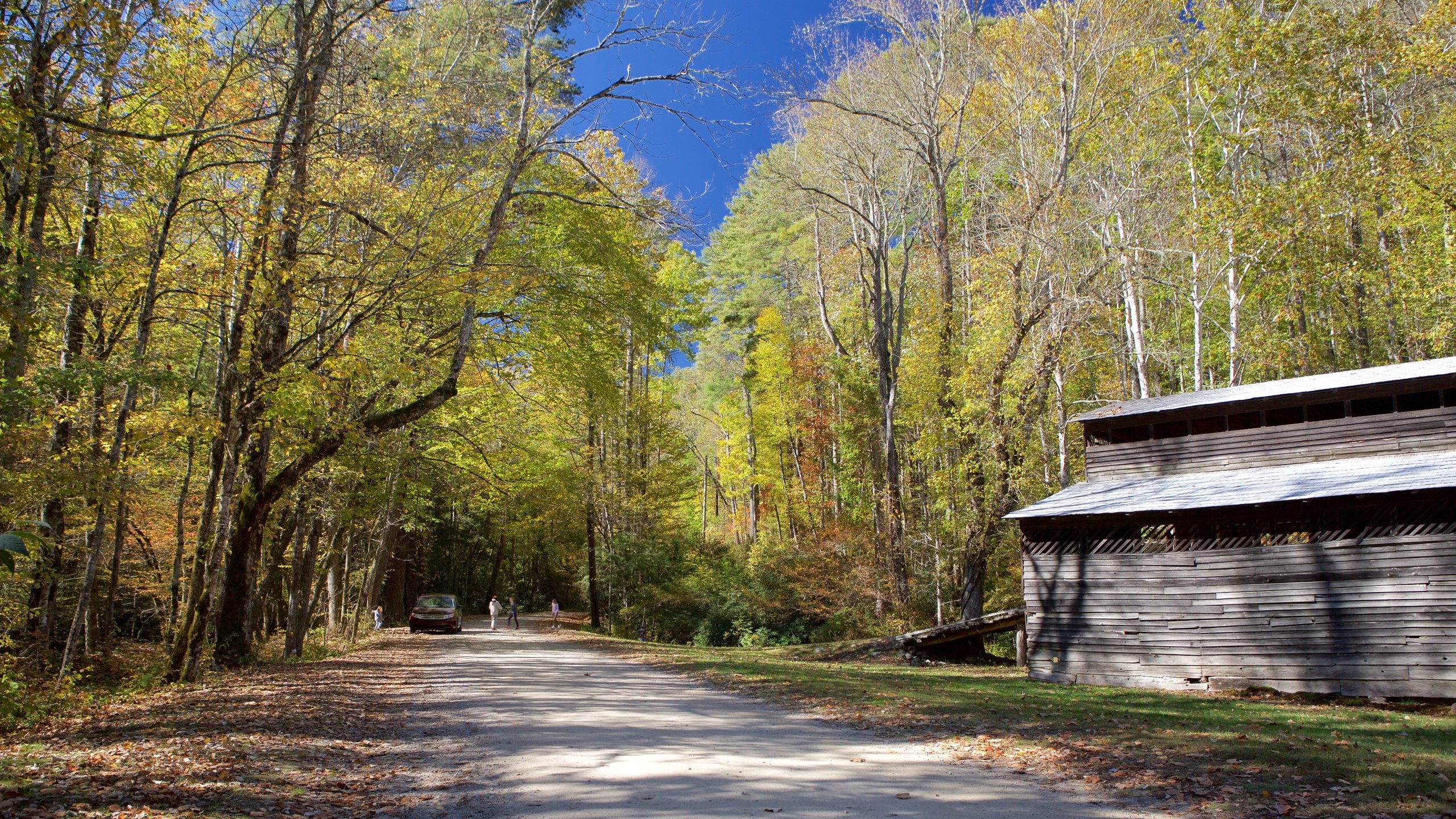 Top 20 Cataloochee Valley, NC cabin rentals from 83/night Vrbo