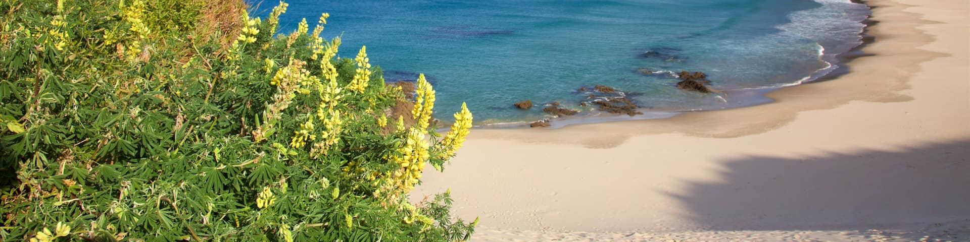 Whangarei featuring a sandy beach, mountains and a bay or harbour