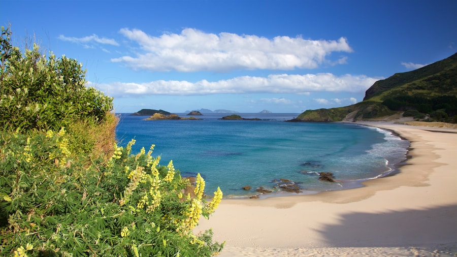 Whangarei showing a bay or harbor, a beach and mountains