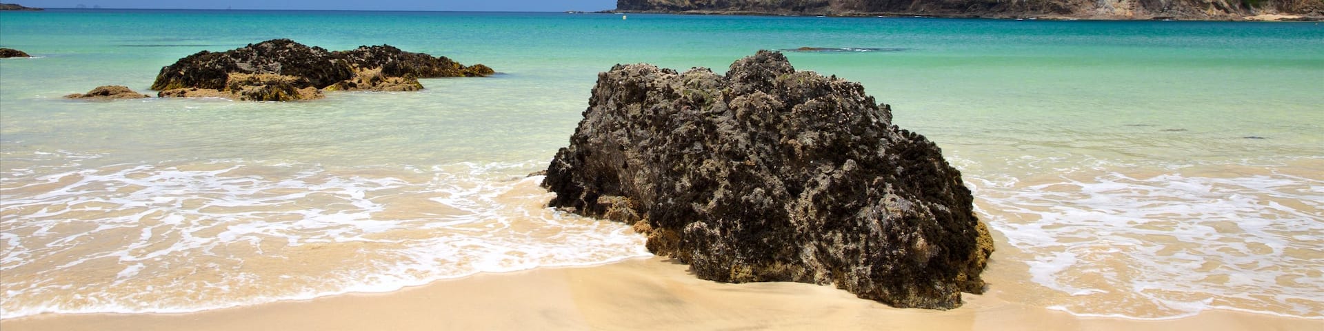 Tutukaka welches beinhaltet Sandstrand, Bucht oder Hafen und FelskĂŒste