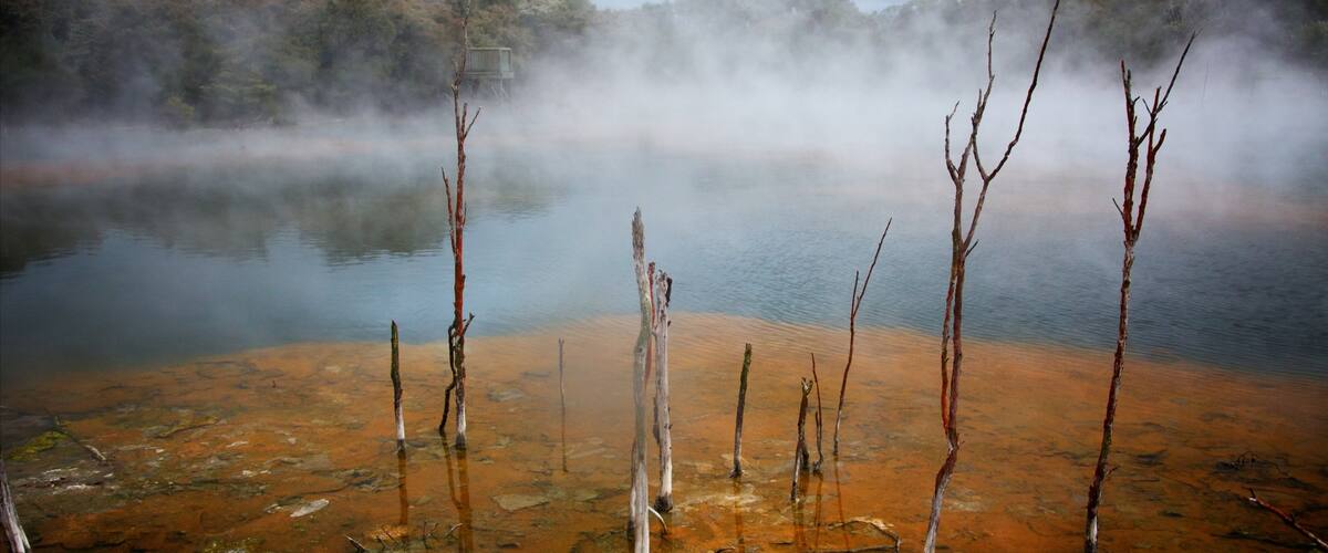 North Island featuring a hot spring and mist or fog
