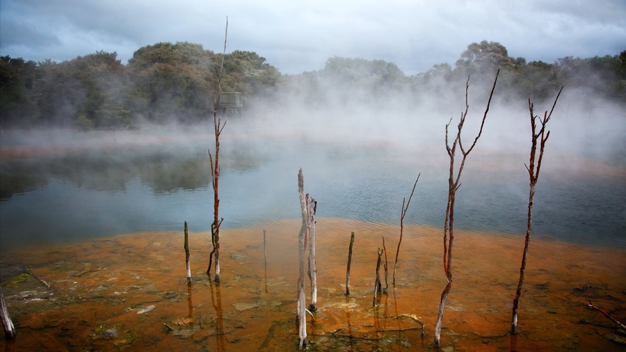 North Island featuring mist or fog and a hot spring