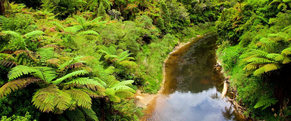 North Island que incluye situaciones tranquilas