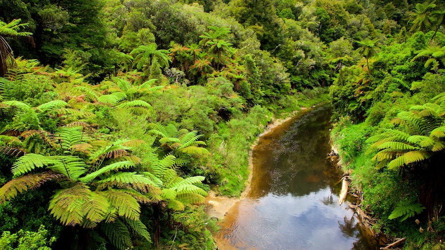 North Island bevat vredige uitzichten