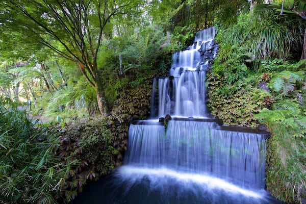 Pukekura Park which includes a cascade and forests