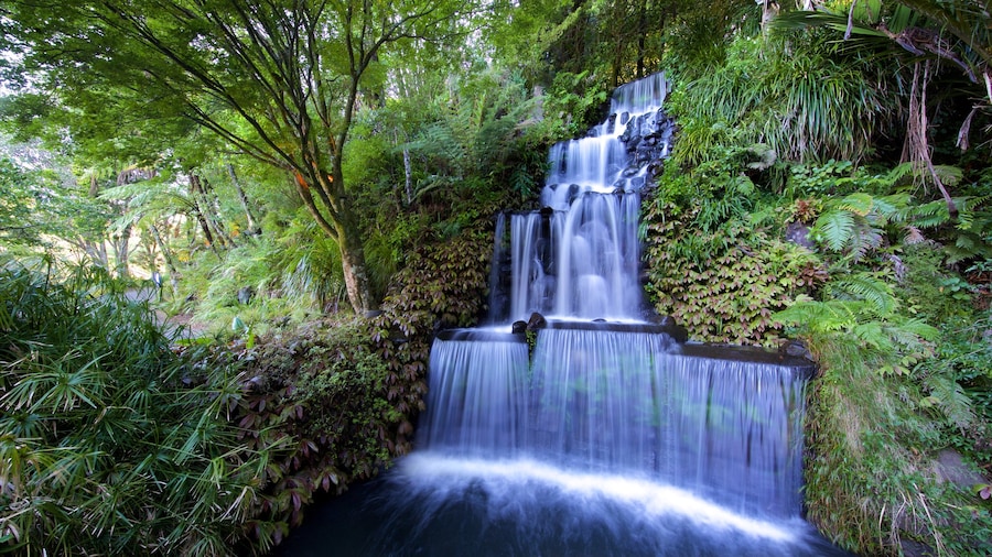 Taman Pukekura