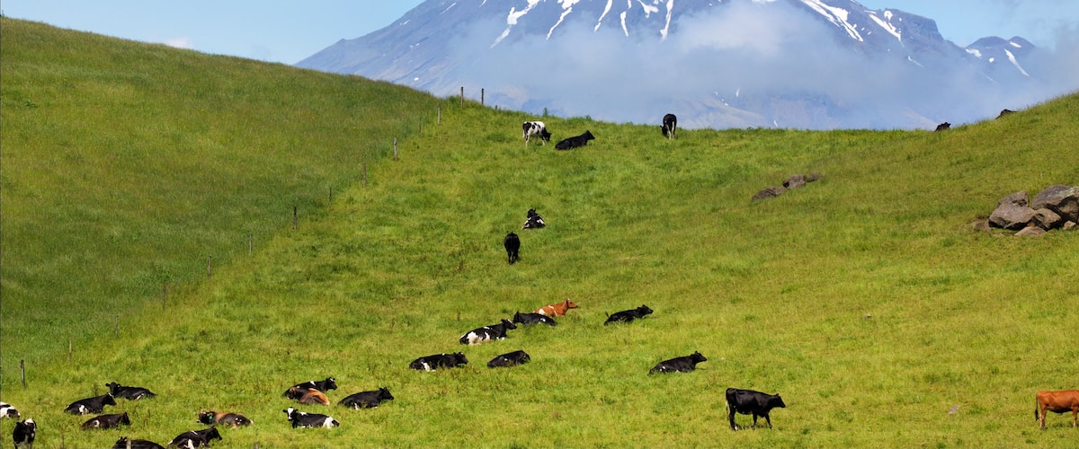 New Plymouth caracterizando montanhas e cenas tranquilas