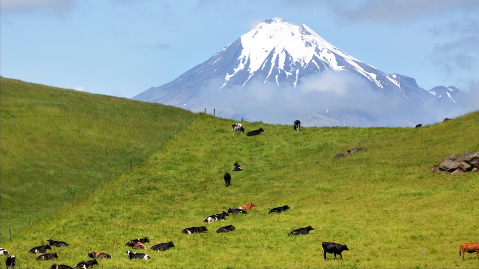 Thành phố New Plymouth cho thấy những ngọn núi và cảnh thanh bình