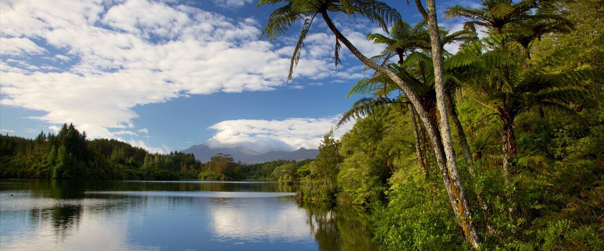 New Plymouth which includes a bay or harbor