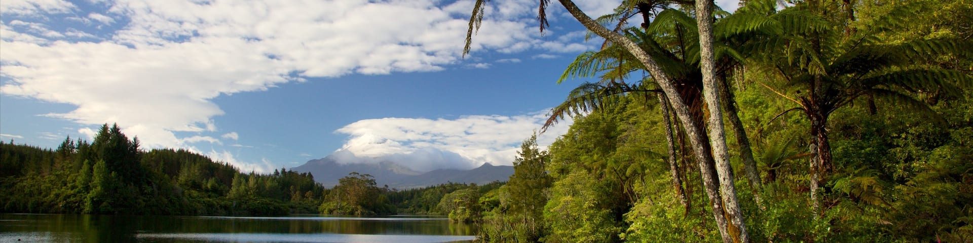 New Plymouth mit einem Bucht oder Hafen