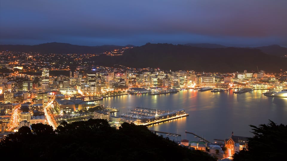 Mount Victoria Lookout which includes a city, a bay or harbor and night scenes