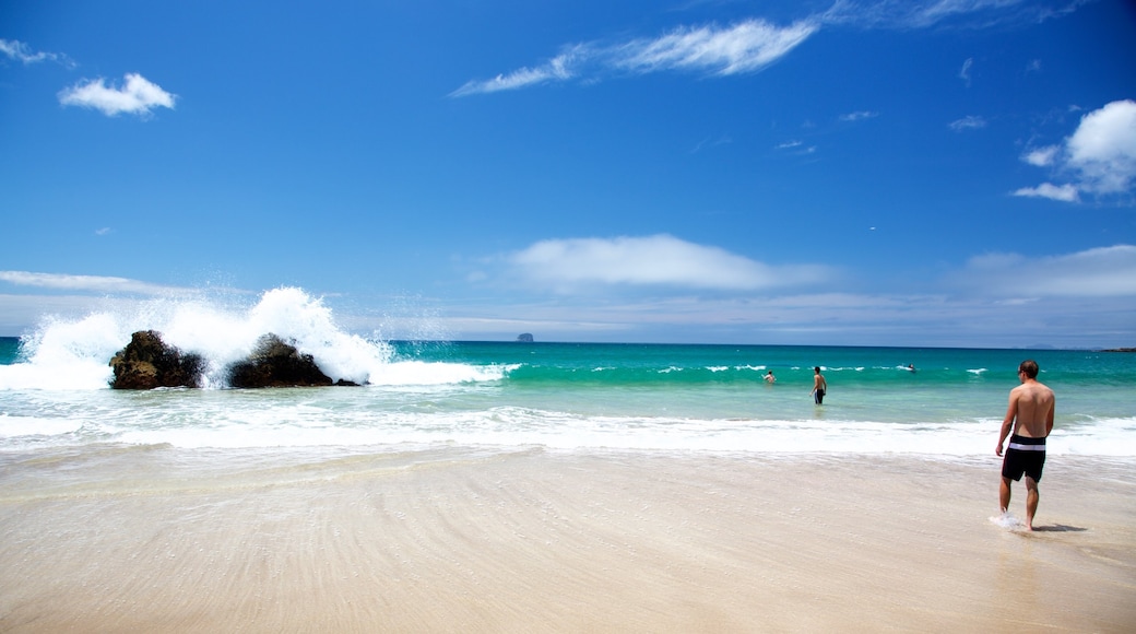 Shakespeare Lookout featuring waves, a sandy beach and a bay or harbor