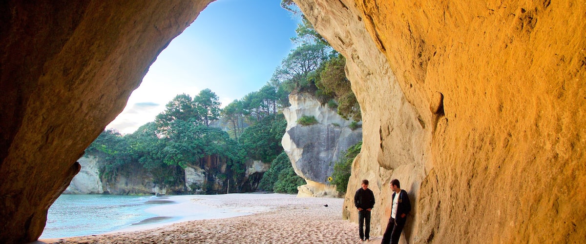 Cathedral Cove Beach featuring lahti tai satama, ranta ja karu rannikko