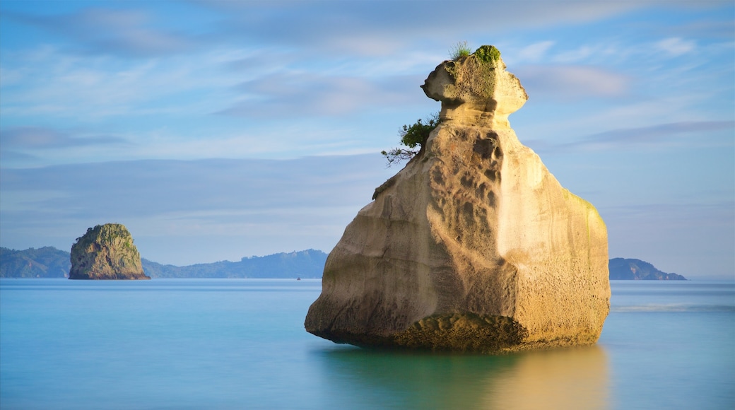 Waikato mostrando baia e porto e costa rocciosa