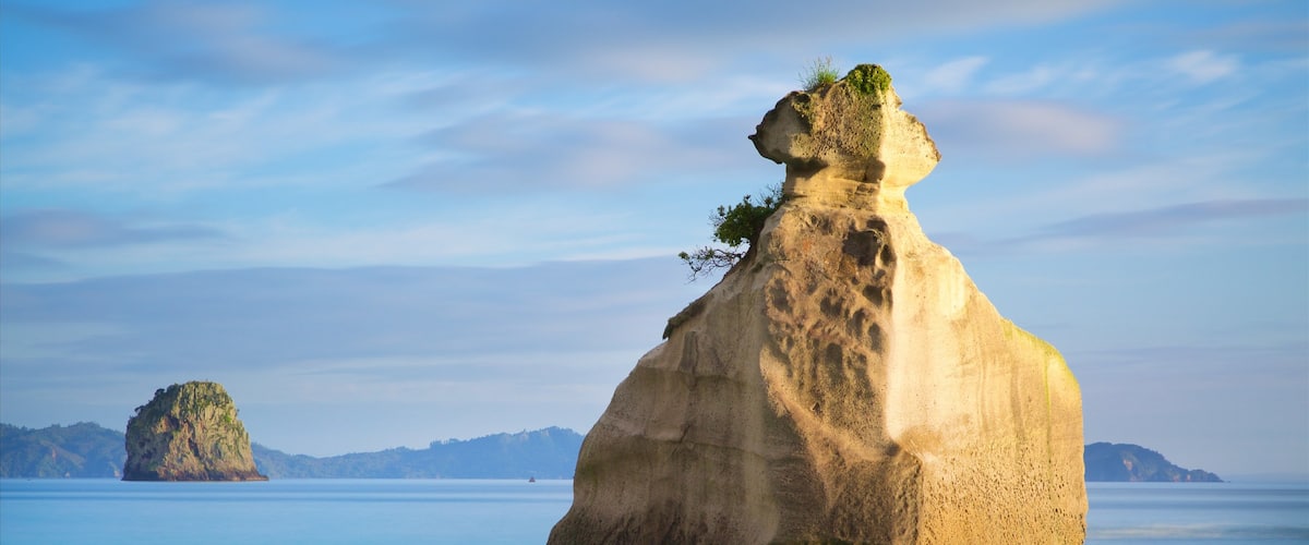 Waikato showing rugged coastline and a bay or harbour