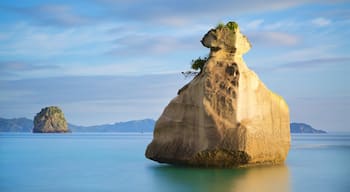 Waikato showing rugged coastline and a bay or harbor