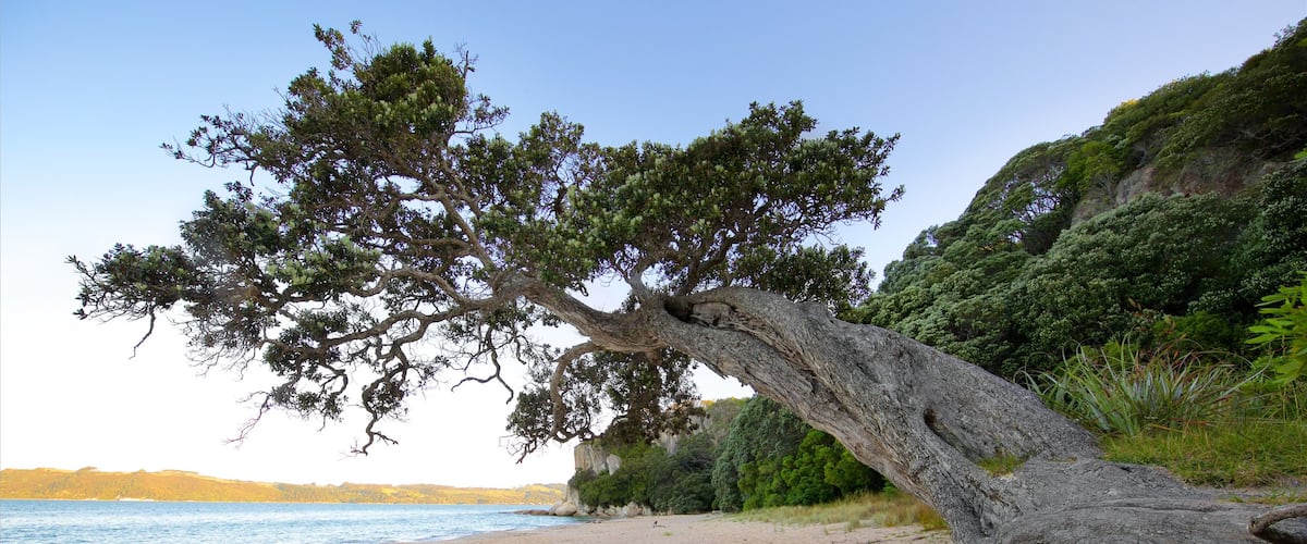Shakespeare Lookout showing a sandy beach and a bay or harbour