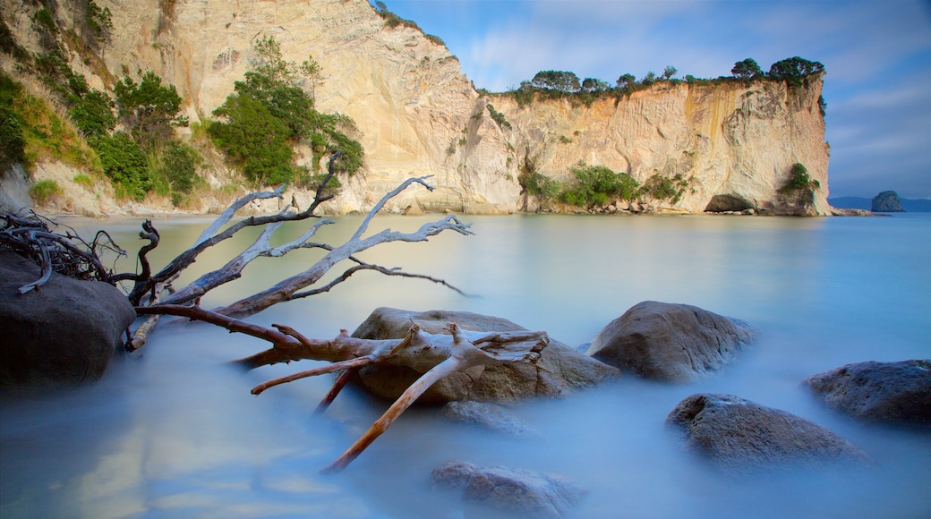 Península de Coromandel ofreciendo costa rocosa y una bahía o puerto