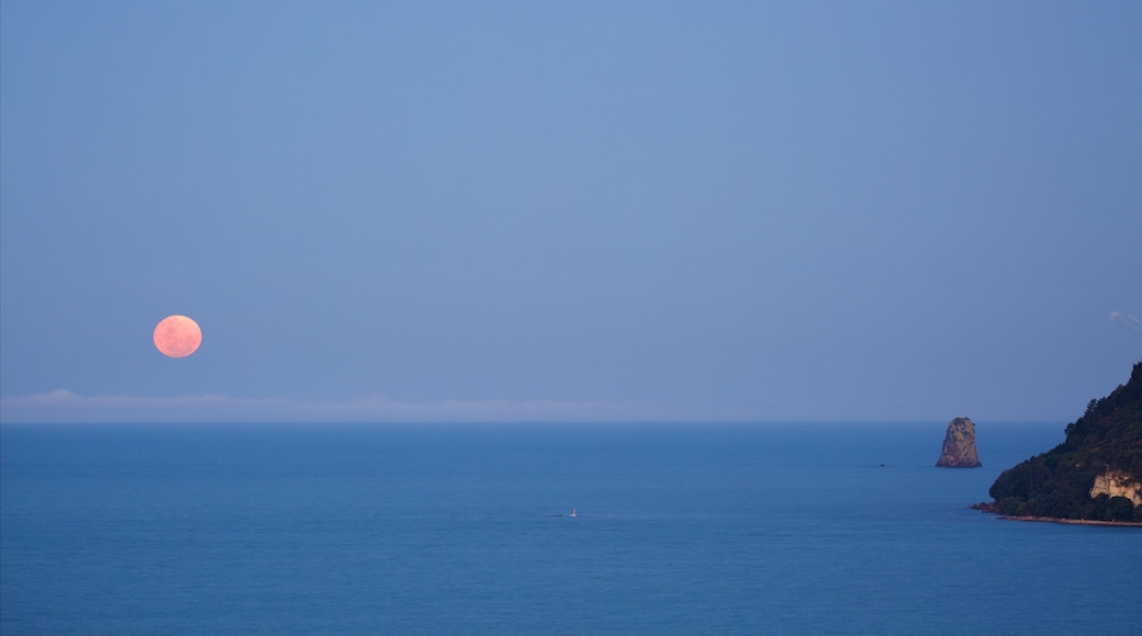 Shakespeare Lookout mostrando litoral rocoso, escenas nocturnas y una bahía o un puerto