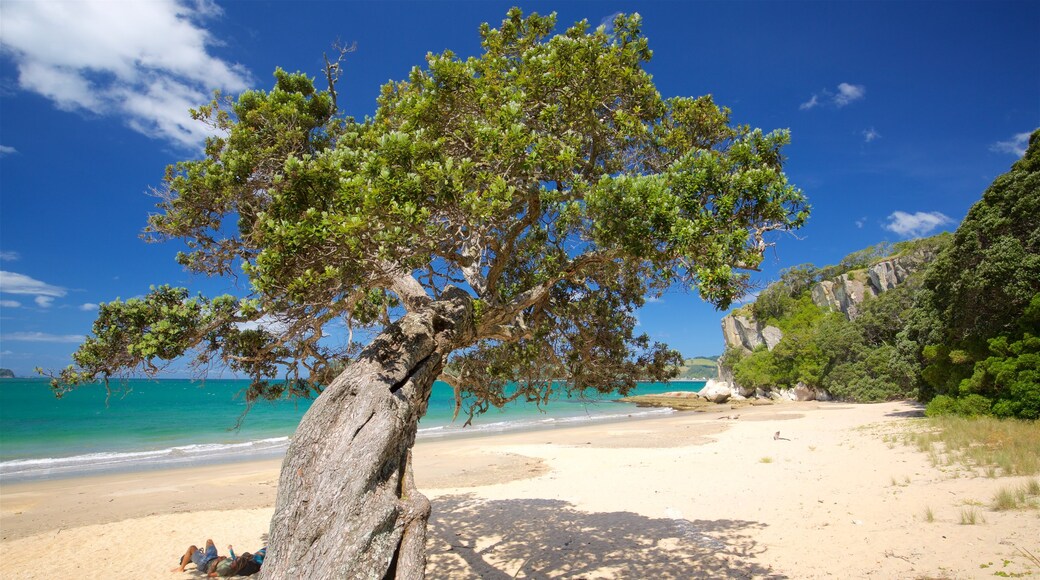 Waikato mostrando costa rocciosa, spiaggia e baia e porto