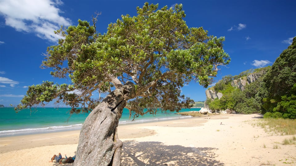 Waikato showing a sandy beach, rugged coastline and a bay or harbor