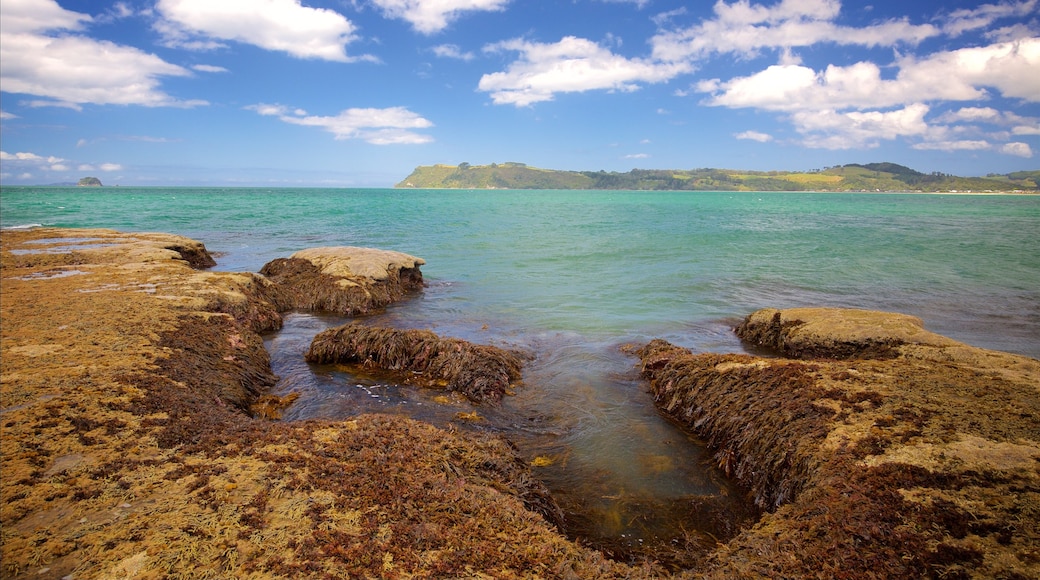 Lonely Bay Beach which includes rugged coastline and a bay or harbor