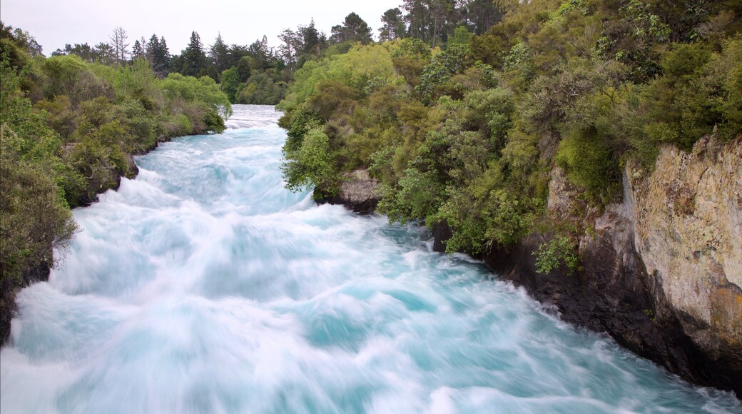 Huka Falls showing forest scenes and a river or creek