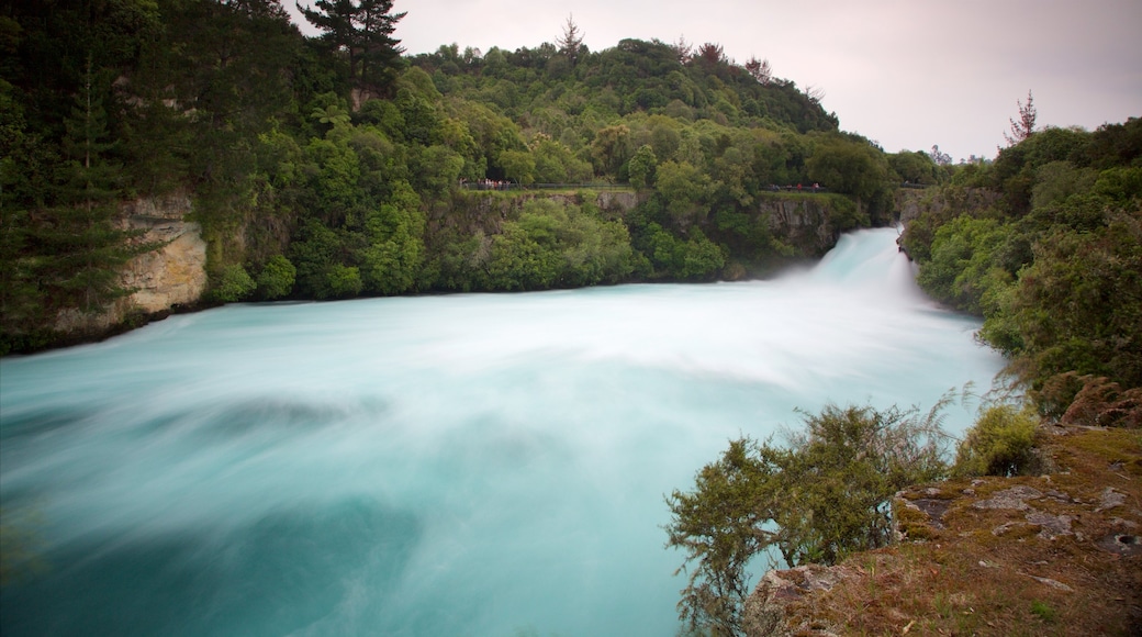 Taupo som visar en sjö eller ett vattenhål, skogslandskap och en solnedgång