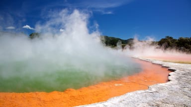 Rotorua which includes a hot spring