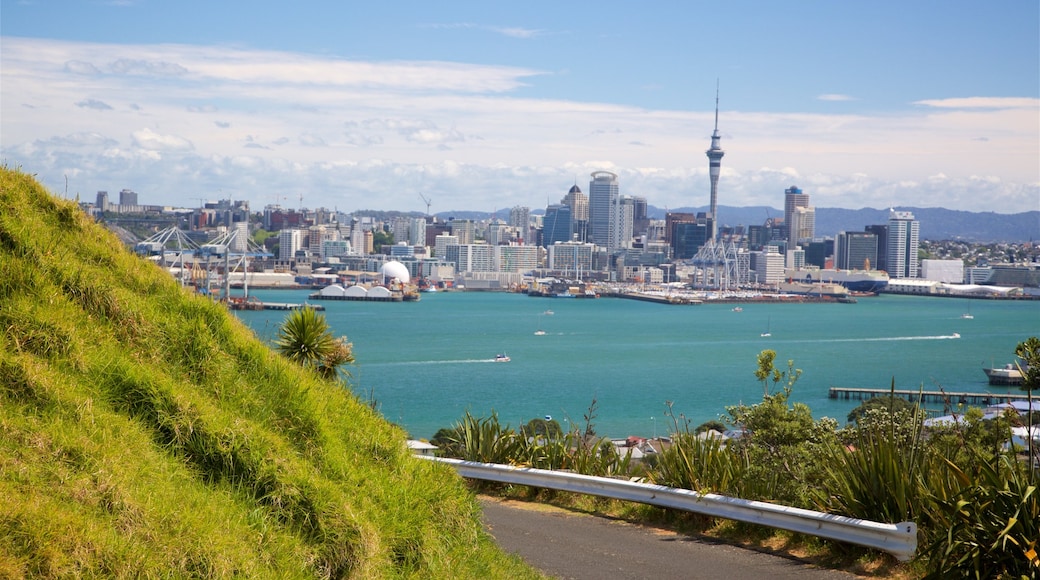 Mount Victoria ofreciendo una ciudad y una bahía o puerto